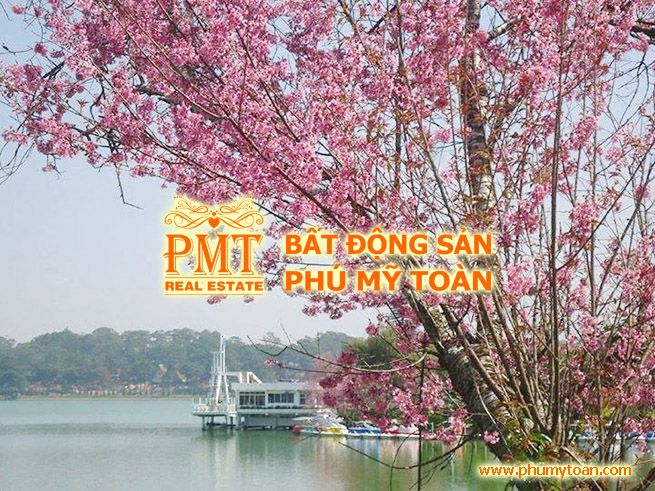 Đất vàng thương mại khu vực lõi trung tâm, mặt tiền đường Bùi Thị Xuân, Phường 2, TP .Đà Lạt, thích hợp mở văn phòng công ty, kinh doanh khách sạn, giá 35tỷ