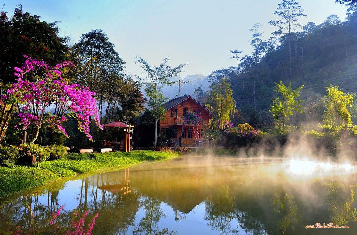 Đất Biệt Thự, diện tích 200m2, gần KDL Thung Lũng Tình Yêu 1km , view  rừng thông , thành phố  , phù hợp đầu tư kinh doanh khách sạn ,homestay , giá chỉ 10.5 tỷ