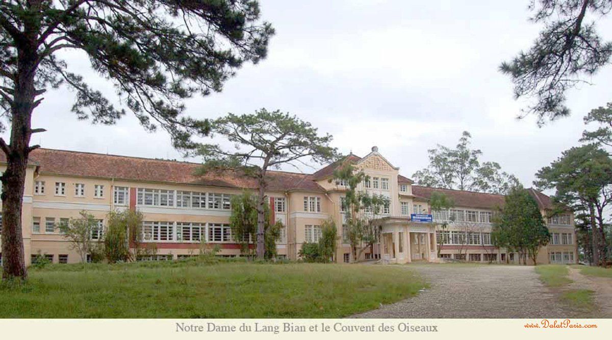Đất nền Biệt Thự KQH thị trấn Lạc Dương, view bao quát đồi thông, khu vực biệt thự sang trọng, dân cư đông đúc yên tĩnh, thích hợp an cư nghỉ dưỡng, giá tốt đầu tư chỉ 5.8tỷ