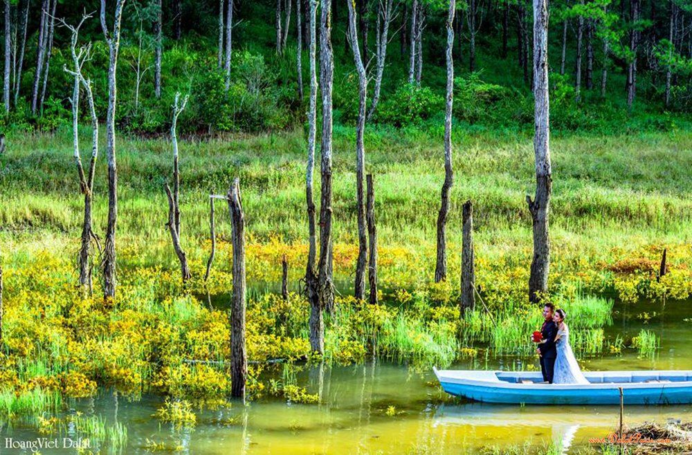 Đất nền phân lô Mặt tiền Đường nhựa Măng Lin, Phường 7, gần trung tâm TP .Đà Lạt, thích hợp phân lô bán nền, khu du lịch nghỉ dưỡng, cà phê check in, giá 96tỷ