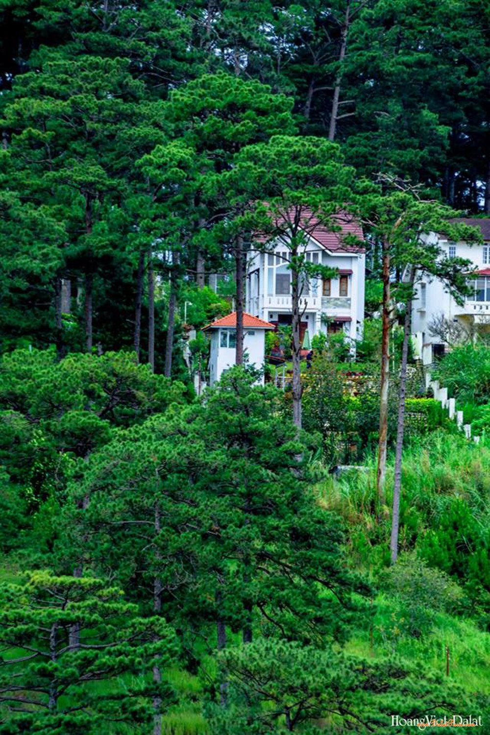 Nhà liên kế khu Quy Hoạch,phường 4, ngay trung tâm TP .Đà Lạt, cách Hồ Xuân Hương 3km, cách Dinh 3 vua bảo Đại 500m, thích hợp an cư nghỉ dưỡng, giá 5,3tỷ