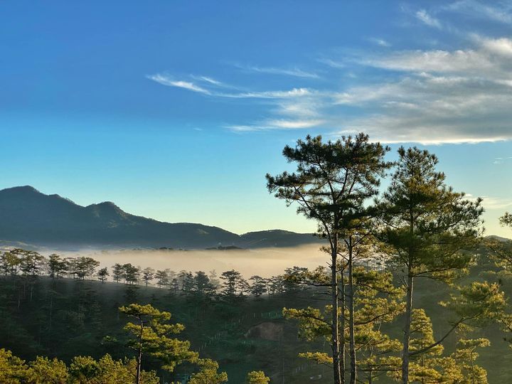 Biệt thự 239.5m2 đường hẻm ô tô Trần Thái Tông, thích hợp an cư, nghỉ dưỡng. giá đầu tư 18.5 tỷ